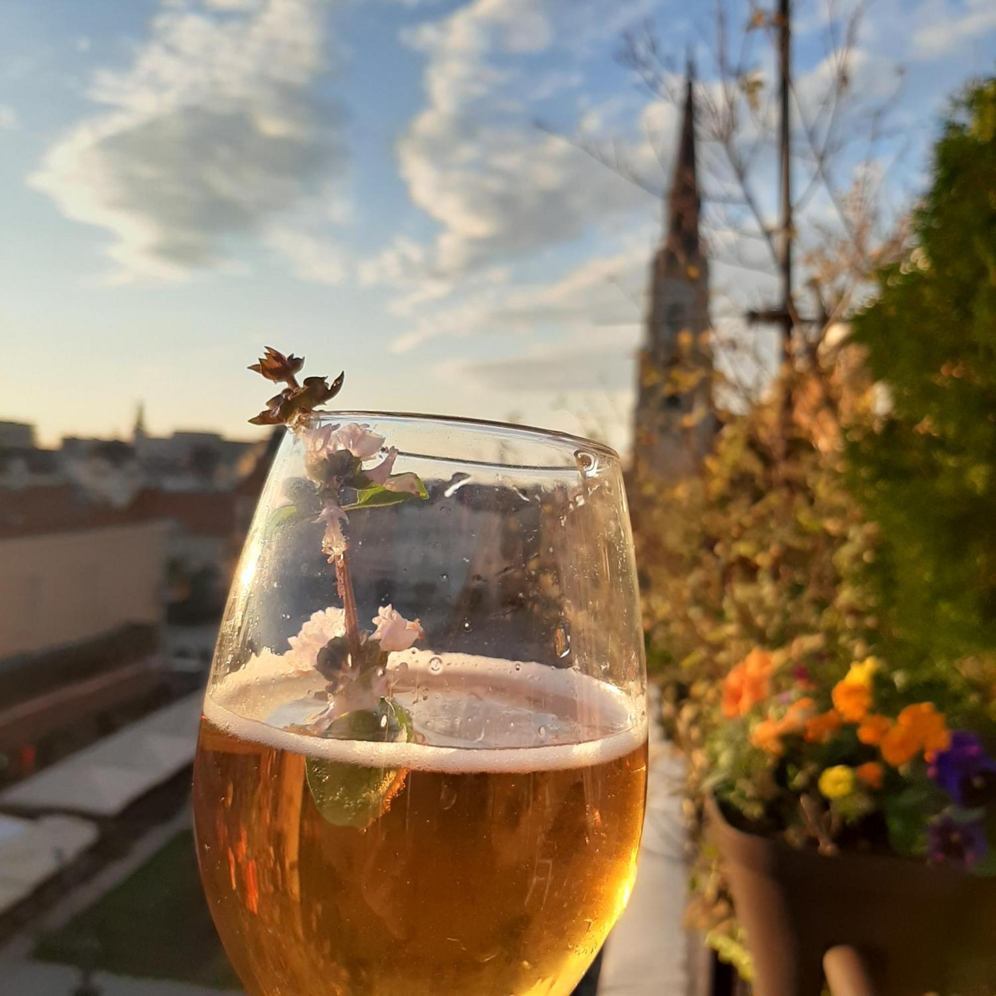 Ferienwohnung Penthouse Modena Novi Sad Zimmer foto
