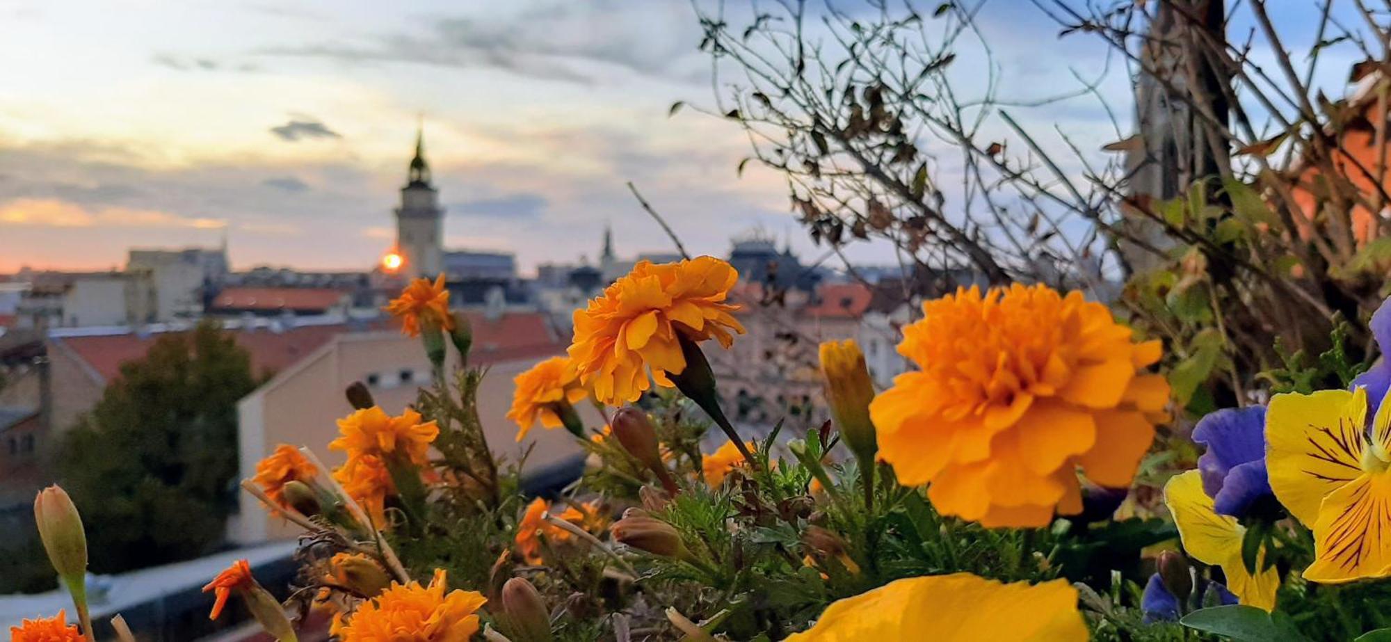 Ferienwohnung Penthouse Modena Novi Sad Zimmer foto